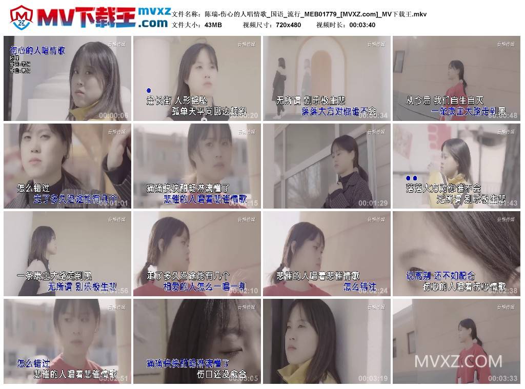 陈瑞-伤心的人唱情歌_国语_流行_MEB01779